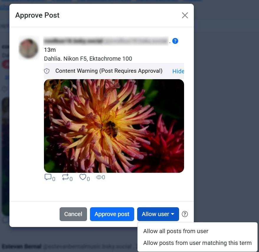 allow user new menu.jpg